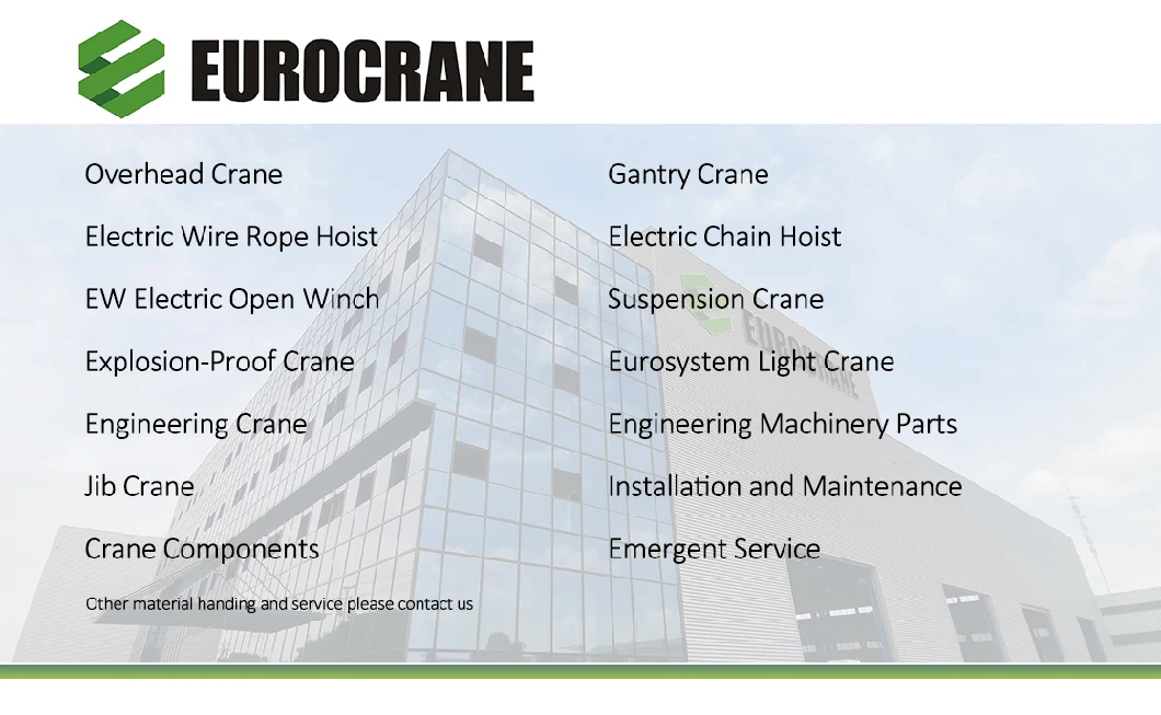 Eurocrane Factory Price Electric Hoist 3 Ton Motorized Trolley 2 Used Mini 200 Kg